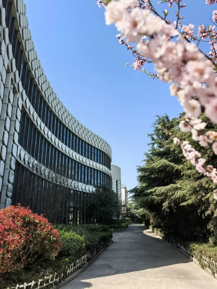 20260407春色满厂区 “7S”管理添春晖2