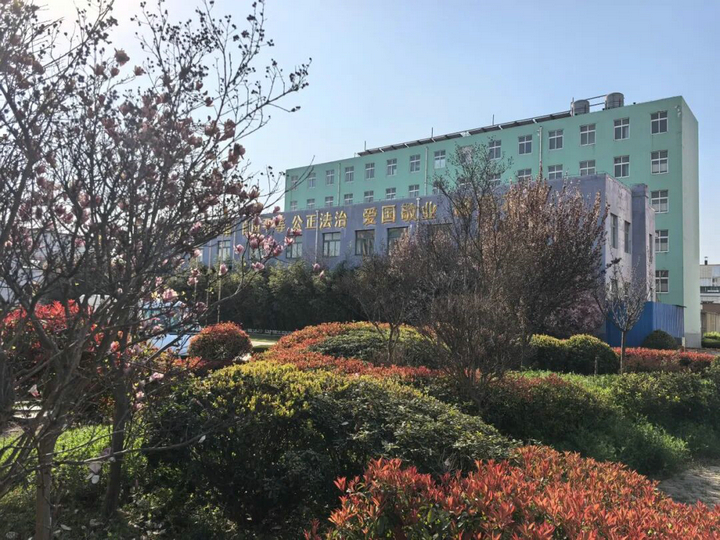 20260407春色满厂区 “7S”管理添春晖5