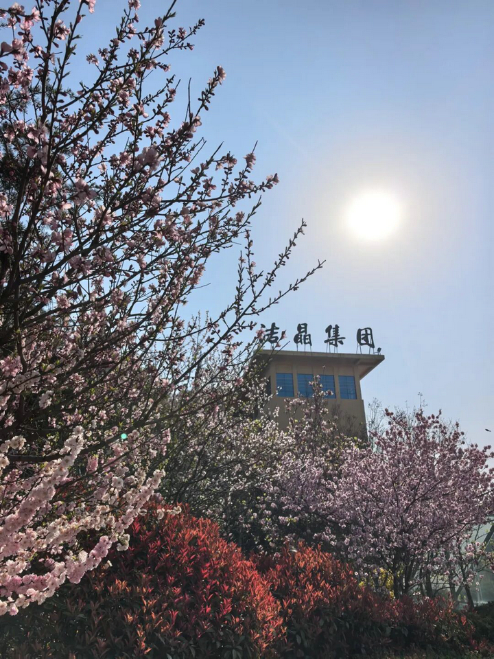 20260407春色满厂区 “7S”管理添春晖6