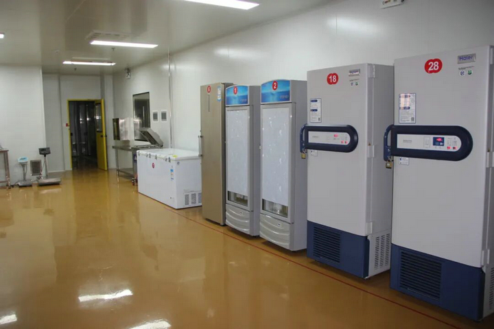 20260407春色满厂区 “7S”管理添春晖10